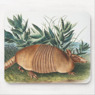 Alfombrilla De Ratón Ilustracion Armadillo (Dasypus Peba) de nueve band