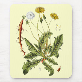 Alfombrilla De Ratón Ilustracion Dandelion de época