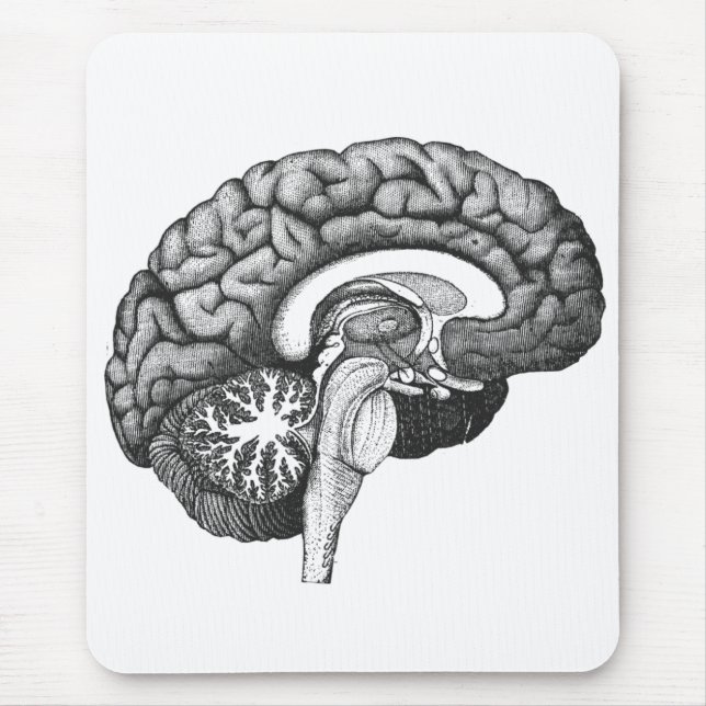 Alfombrilla De Ratón Ilustracion de anatomía médica ventilado cerebro h (Frente)
