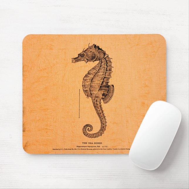 Alfombrilla De Ratón Ilustracion de caballito de mar de época (Con ratón)
