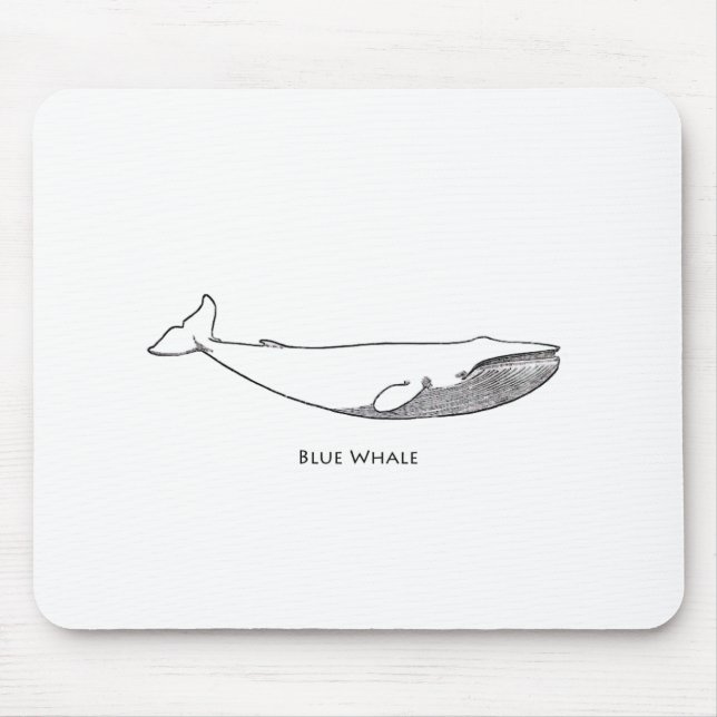 Alfombrilla De Ratón Ilustracion de la ballena azul (línea arte) (Frente)