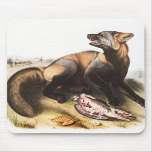 Alfombrilla De Ratón Ilustracion de la Cruz Fox de Estados Unidos (Cani
