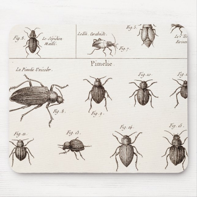Alfombrilla De Ratón Ilustracion de los escarabajos de los insectos de (Frente)