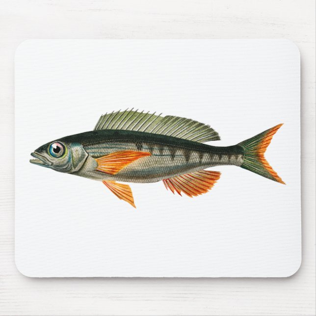 Alfombrilla De Ratón Ilustracion de pescado de Pandora (Frente)
