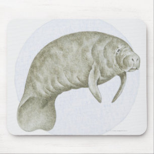 Alfombrilla De Ratón Ilustracion de un Manatee (SP de Trichechus.)