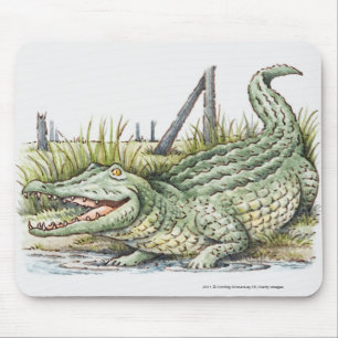 Alfombrilla De Ratón Ilustracion del cocodrilo en la orilla