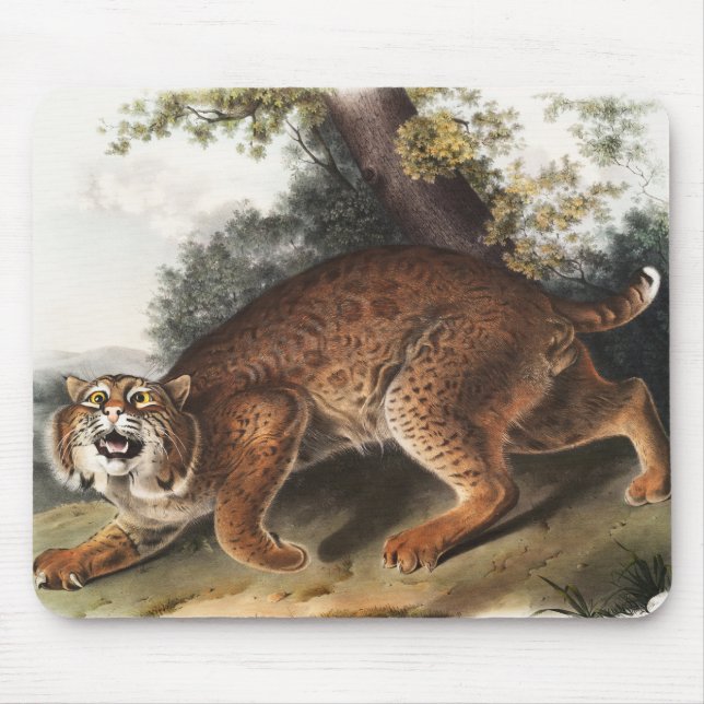 Alfombrilla De Ratón Ilustracion del gato salvaje estadounidense (Lynx  (Frente)