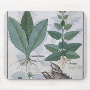 Alfombrilla De Ratón Ilustracion del 'libro de las medicinas simples