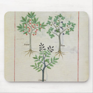 Alfombrilla De Ratón Ilustracion del "libro de las medicinas simples" 2