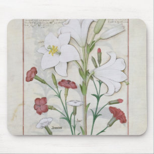 Alfombrilla De Ratón Ilustracion del 'libro de simple