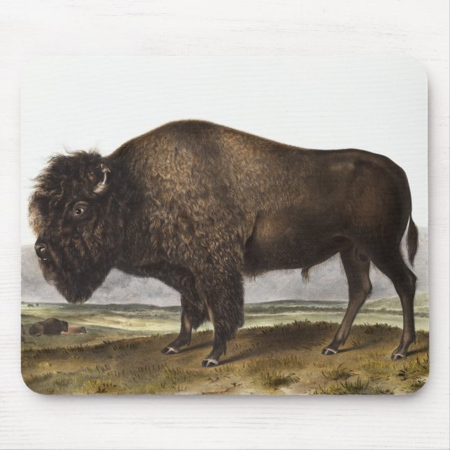 Alfombrilla De Ratón Ilustracion estadounidense Bison (Bos Americanus) (Frente)