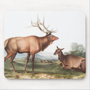 Alfombrilla De Ratón Ilustracion Estadounidense de Elk (Cervus Canadens