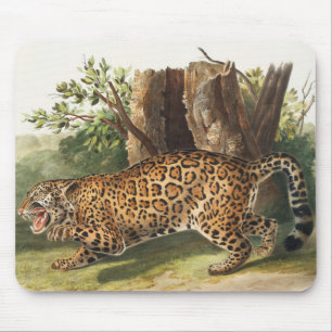 Alfombrilla De Ratón Ilustracion Jaguar (Felis onca)