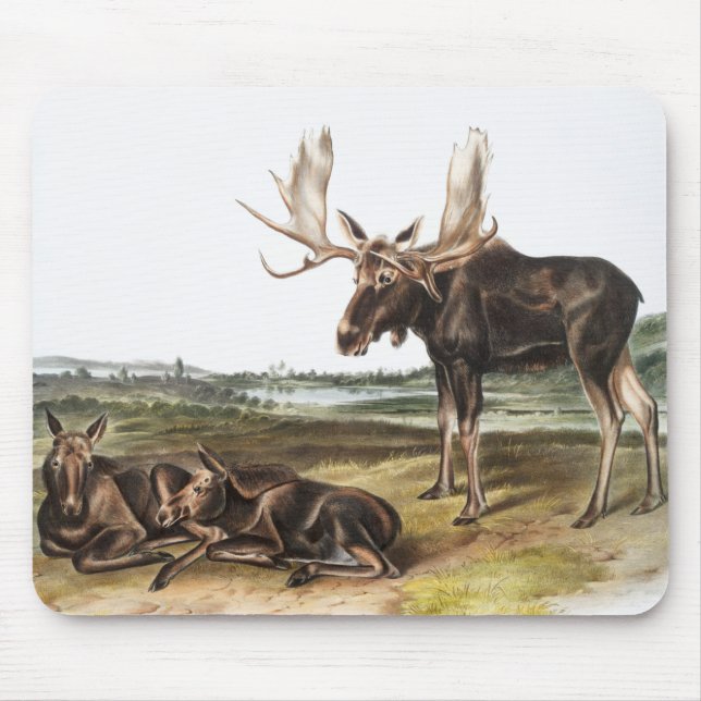 Alfombrilla De Ratón Ilustracion Moose Deer (Servus alces) (Frente)