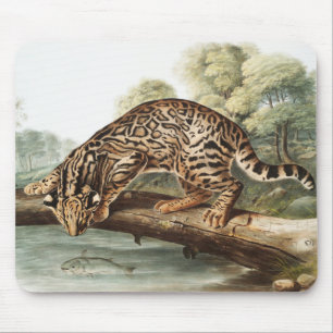 Alfombrilla De Ratón Ilustracion Ocelot, Leopard Cat (Felis pardalis)