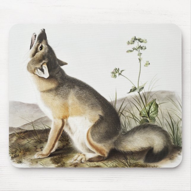 Alfombrilla De Ratón Ilustracion Swift Fox (Vulpes velox) (Frente)