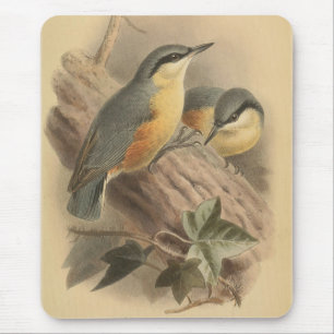 Alfombrilla De Ratón Ilustracion vintage de Nuthatch