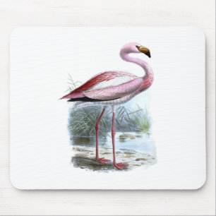 Alfombrilla De Ratón Ilustracion Vintage Puna Flamingo