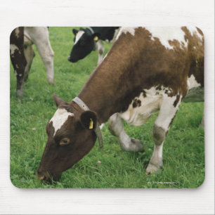 Alfombrilla De Ratón ima28991