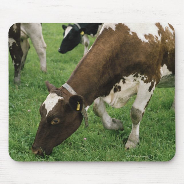 Alfombrilla De Ratón ima28991 (Frente)