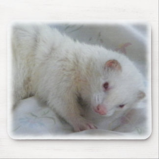 Alfombrilla De Ratón Imagen del hurón del albino