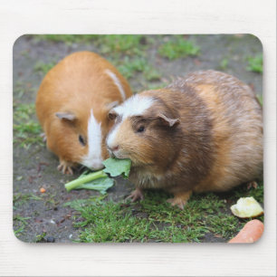 Alfombrilla De Ratón Imagen Mascota moderna personalizado