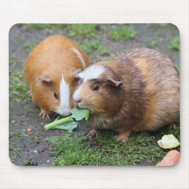 Alfombrilla De Ratón Imagen Mascota moderna personalizado (Frente)