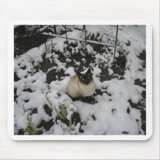 Alfombrilla De Ratón Imágenes de la nieve, gato de la nieve