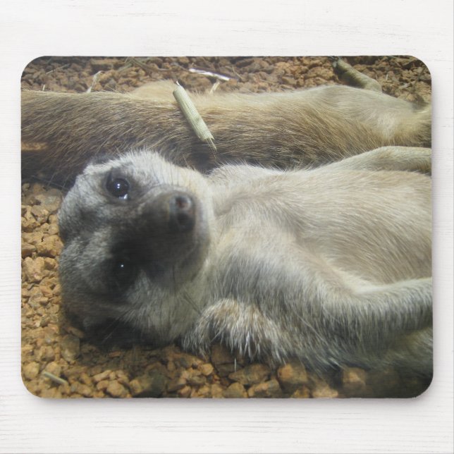 ALFOMBRILLA DE RATÓN IMG_2196 (Frente)