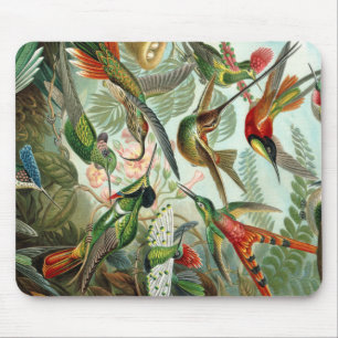 Alfombrilla De Ratón Impresión de arte Ernst Haeckel: Trochilida