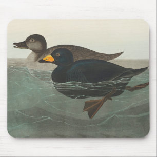 Alfombrilla De Ratón Impresión de Negrón Americano de Audubon: Pato Cos