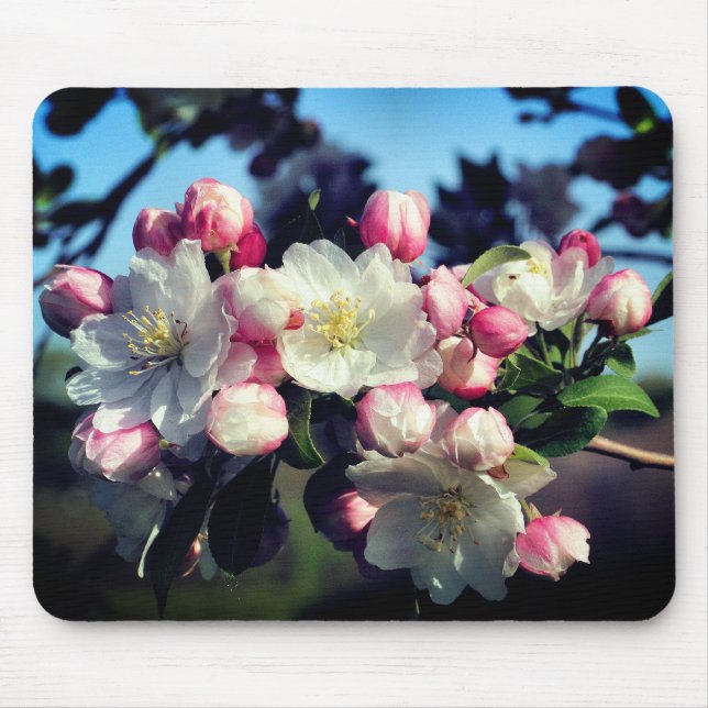 Alfombrilla De Ratón Impresionante flor de flores de primavera (Frente)