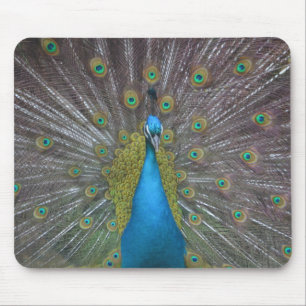 Alfombrilla De Ratón Impresionante pavo real