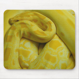 Alfombrilla De Ratón Impresionante Python birmano amarillo