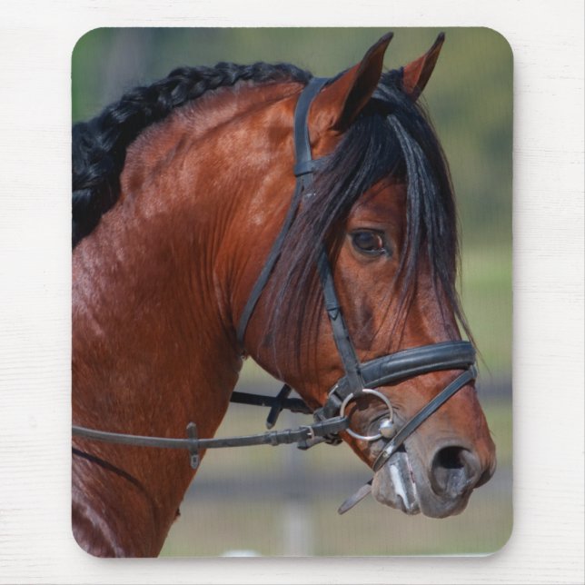 ALFOMBRILLA DE RATÓN INDICO VII (Frente)