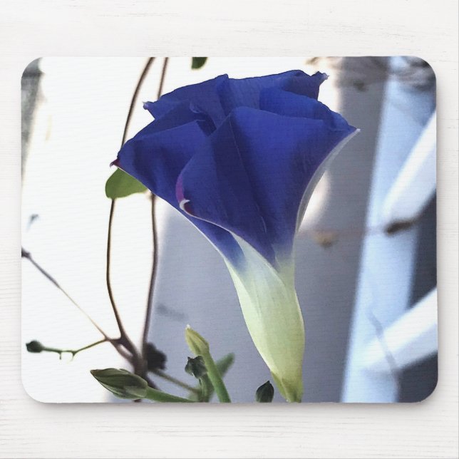 Alfombrilla De Ratón Indigo Swirl Morning Glory Close-up (Frente)