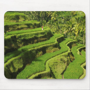 Alfombrilla De Ratón Indonesia, Bali Arrozales
