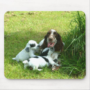 Alfombrilla De Ratón Inglés cocker spaniel y perritos Mousepad