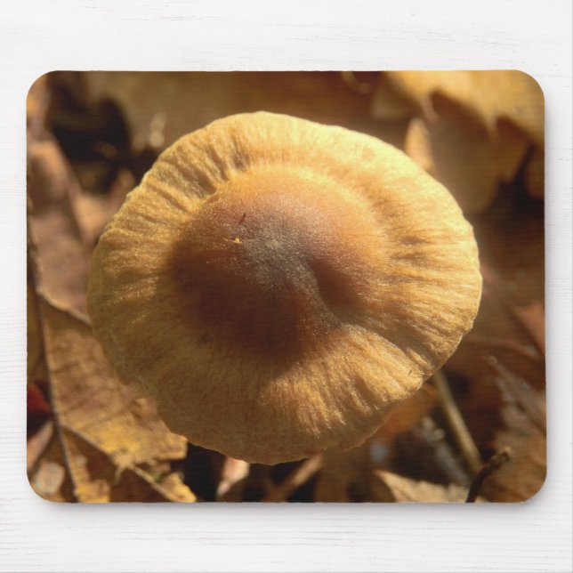 Alfombrilla De Ratón Inocybe napipes Mushroom Mouse Mat (Frente)