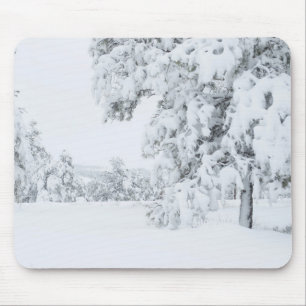 Alfombrilla De Ratón Invierno de Colorado