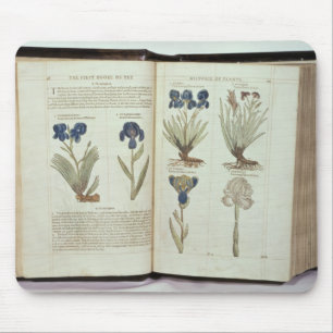 Alfombrilla De Ratón Iris