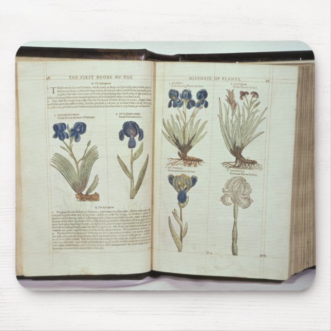 Alfombrilla De Ratón Iris (Frente)