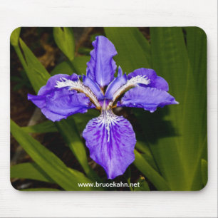 Alfombrilla De Ratón Iris
