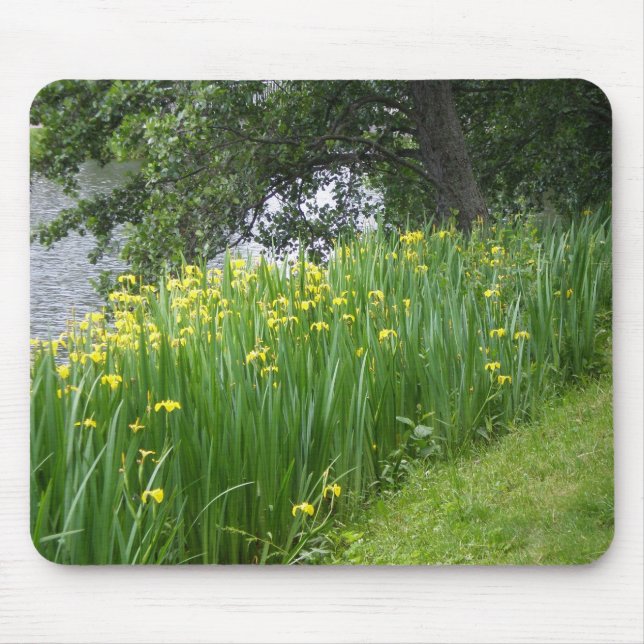 Alfombrilla De Ratón Iris amarillo Mousepad (Frente)