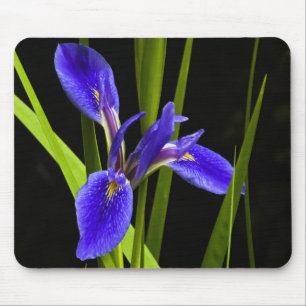 Alfombrilla De Ratón Iris azul Mousepad