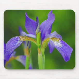 Alfombrilla De Ratón Iris Blue Flower Mousepad