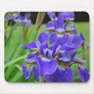 Alfombrilla De Ratón Iris en el jardín