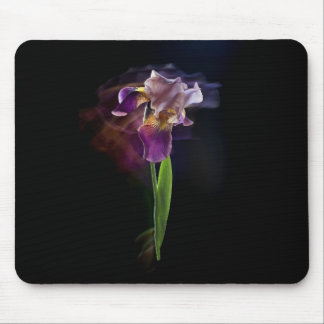 Alfombrilla De Ratón Iris flower on a black background. Long exposure.