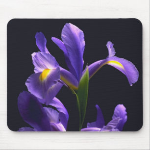 Alfombrilla De Ratón Iris impresionante, púrpura