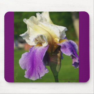 Alfombrilla De Ratón Iris Mousepad